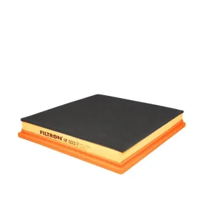 Tylko dziś FILTRON FILTR POWIETRZA AP 003/7