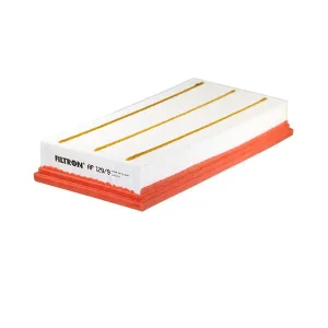 FILTRON FILTR POWIETRZA AP 129/9 Ostatnia szansa