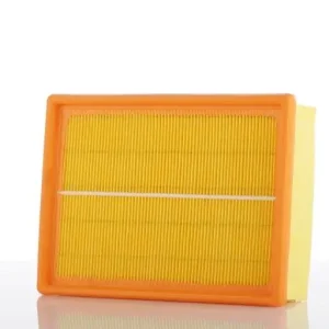 Oryginalny PZL-SĘDZISZÓW FILTR POWIETRZA WA50388