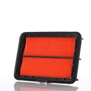 Autentyczny PZL-SĘDZISZÓW FILTR POWIETRZA WA53300