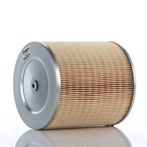 Zamów teraz PZL-SĘDZISZÓW FILTR POWIETRZA WA30275