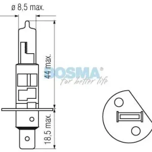 ŻARÓWKI CLASSIC GOLD 12V 55W H1 P14,5S (TWIN BOX) BOSMA Premium
