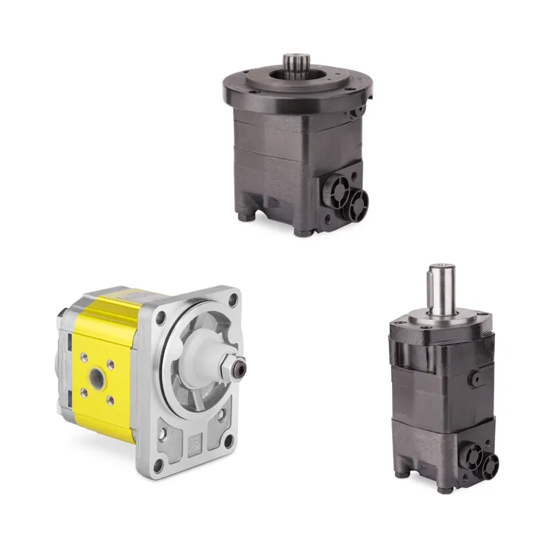 Darmowa dostawa Silnik hydrauliczny BM3100P10AYT11