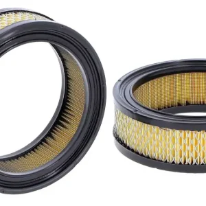 Wysoka jakość Filtr powietrza - główny SA 10793