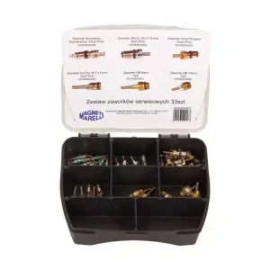 MAGNETI MARELLI ZESTAW ZAWORKÓW SERWISOWYCH KLIMATYZACJI 007950024070 33SZT Niska cena